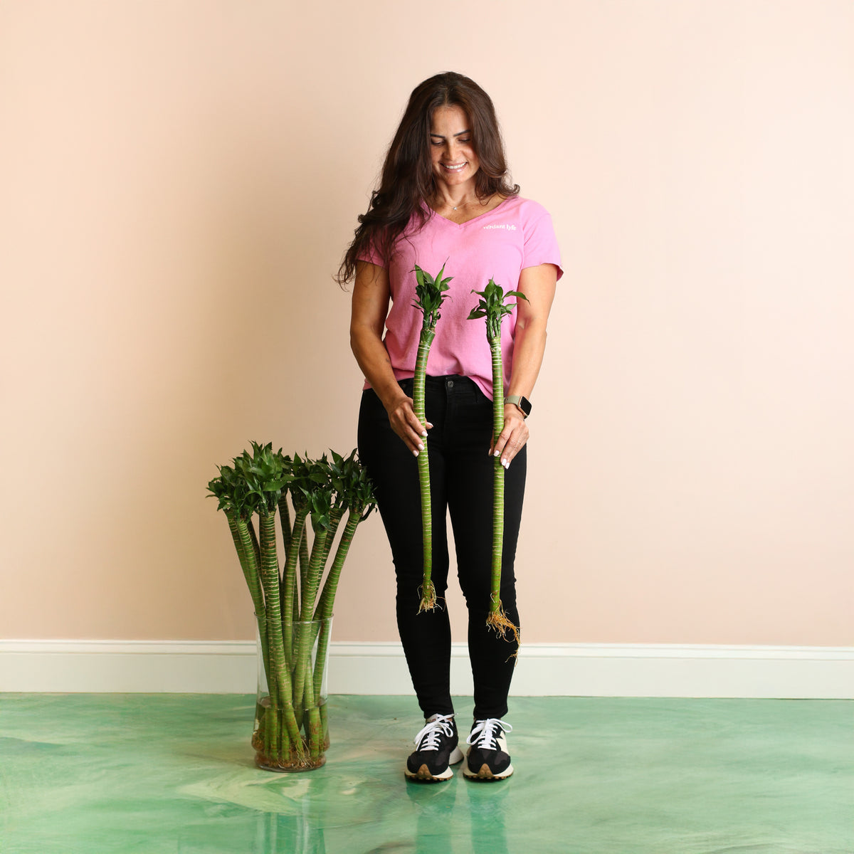 Lucky Lotus Bamboo next to 5' 2" Model