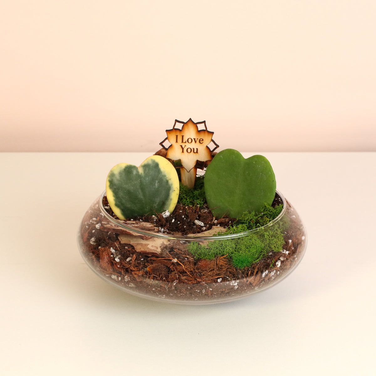 Love Hearts Terrarium
