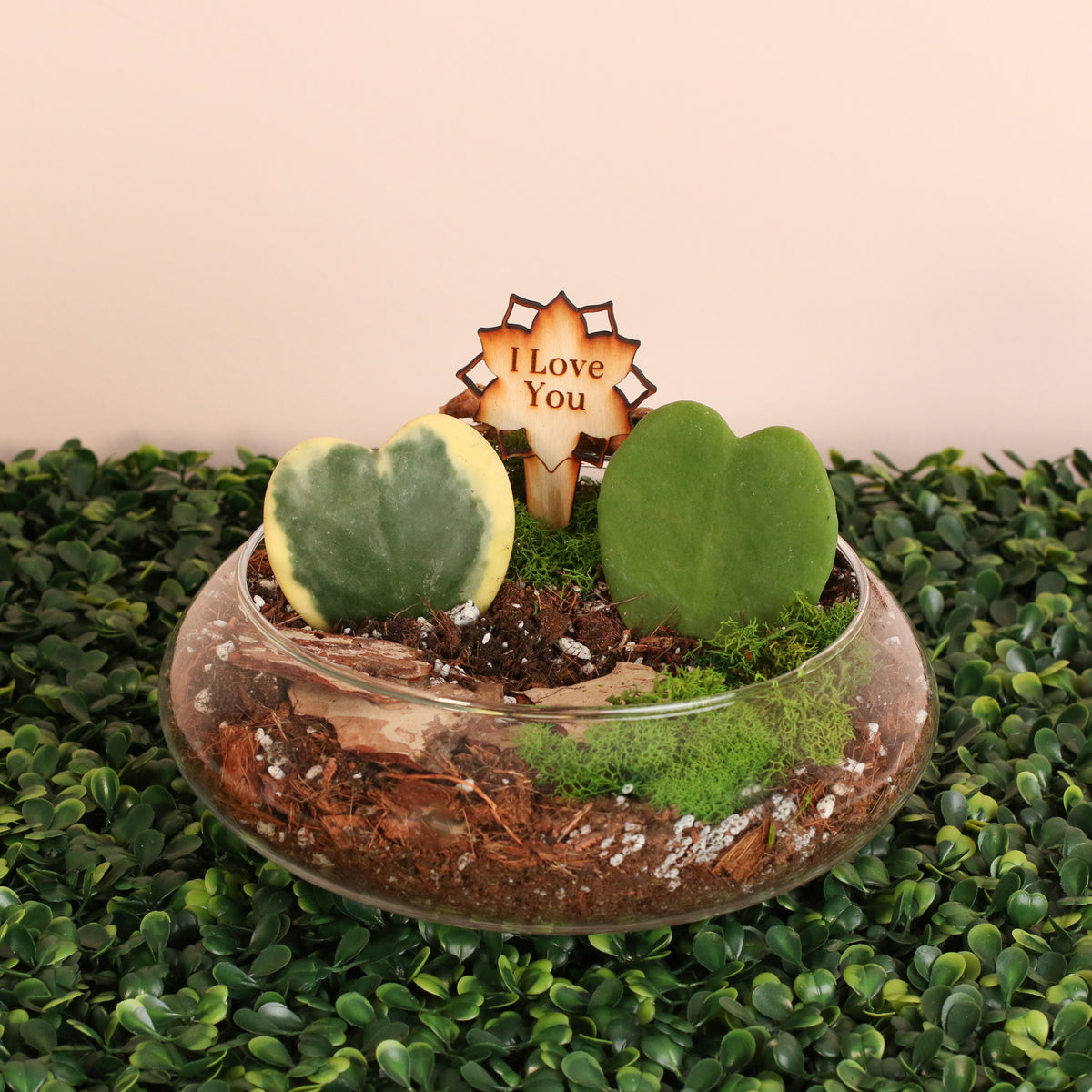 Love Hearts Terrarium