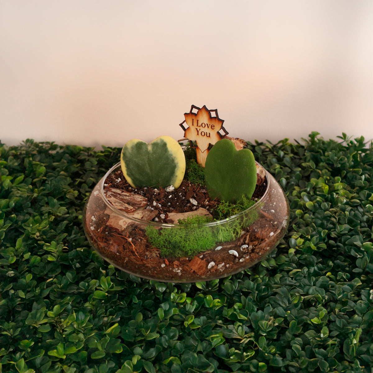 Love Hearts Terrarium