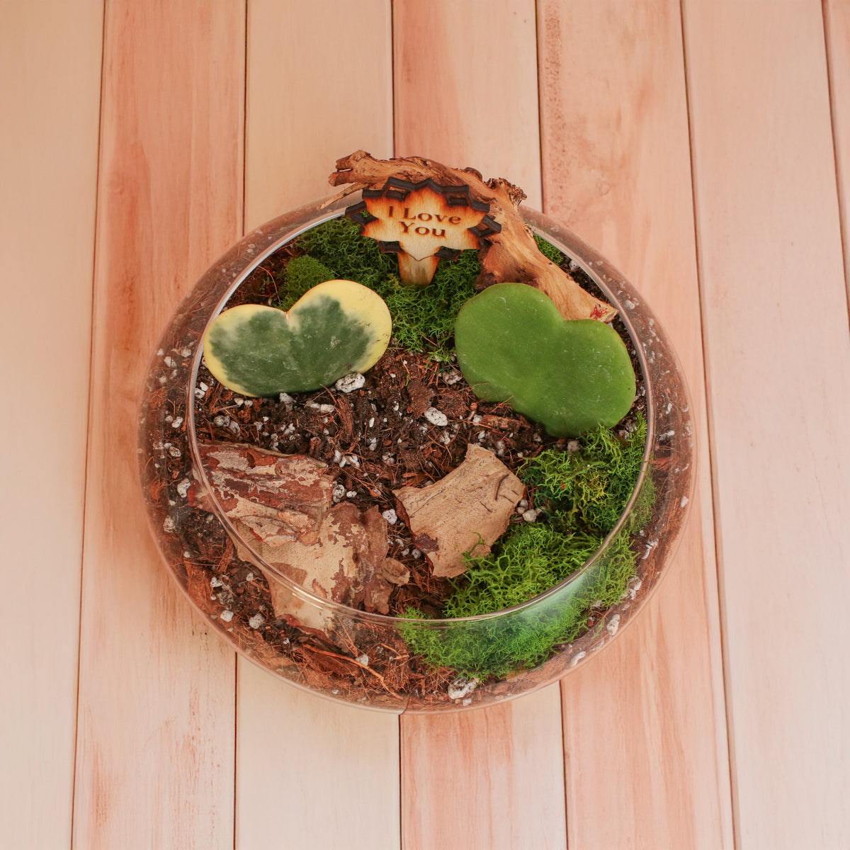 Love Hearts Terrarium