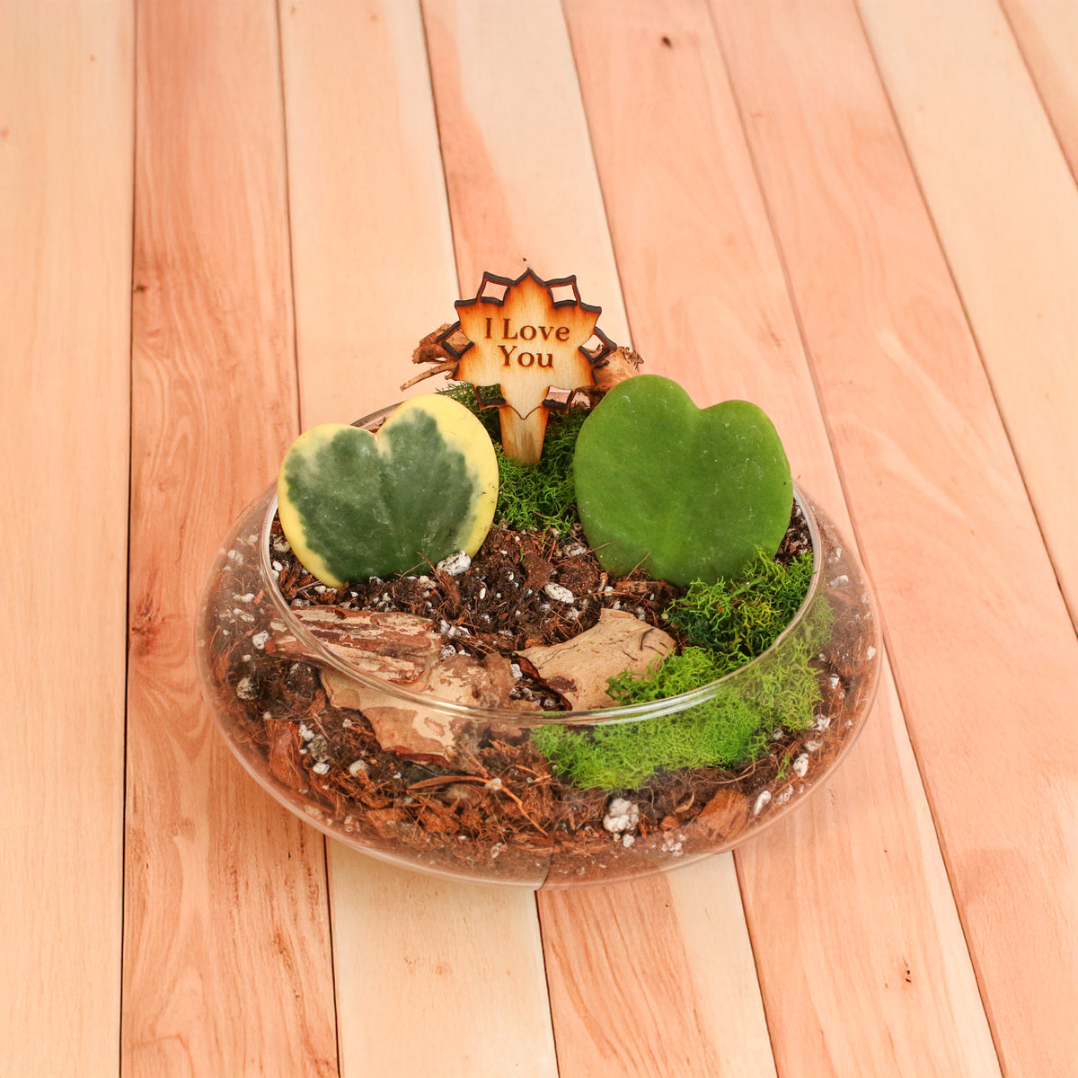 Love Hearts Terrarium