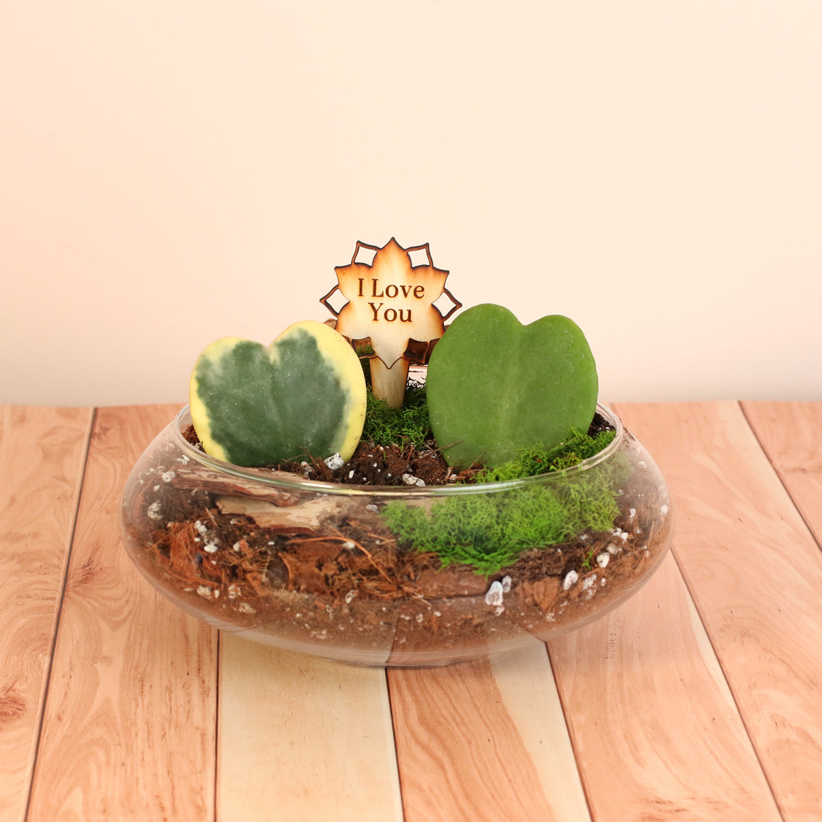 Love Hearts Terrarium