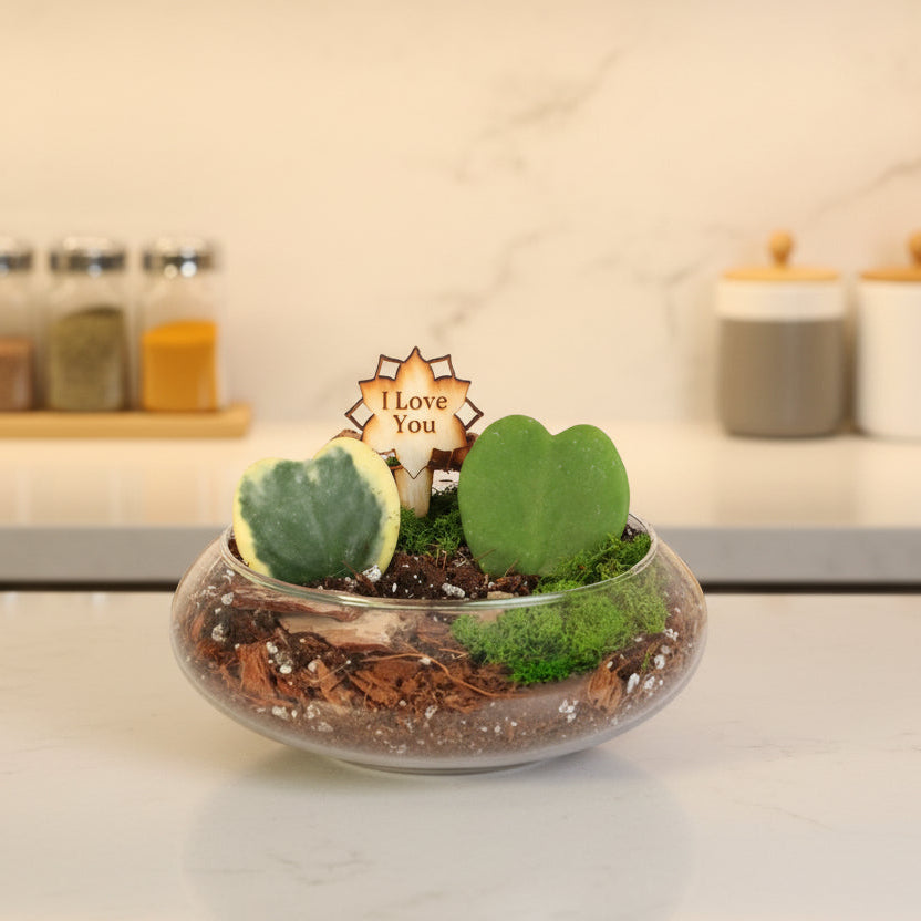 Love Hearts Terrarium