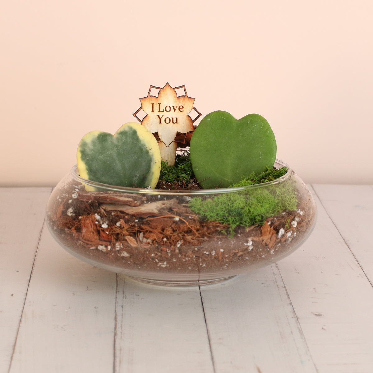 Love Hearts Terrarium