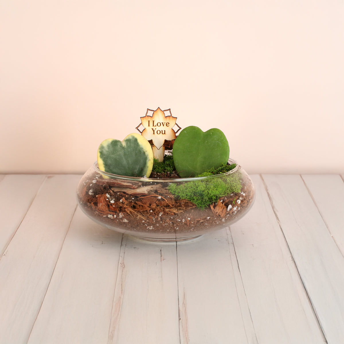 Love Hearts Terrarium
