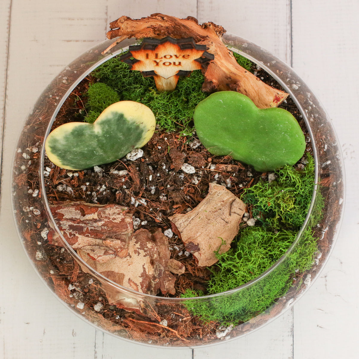 Top View of Love Hearts Terrarium