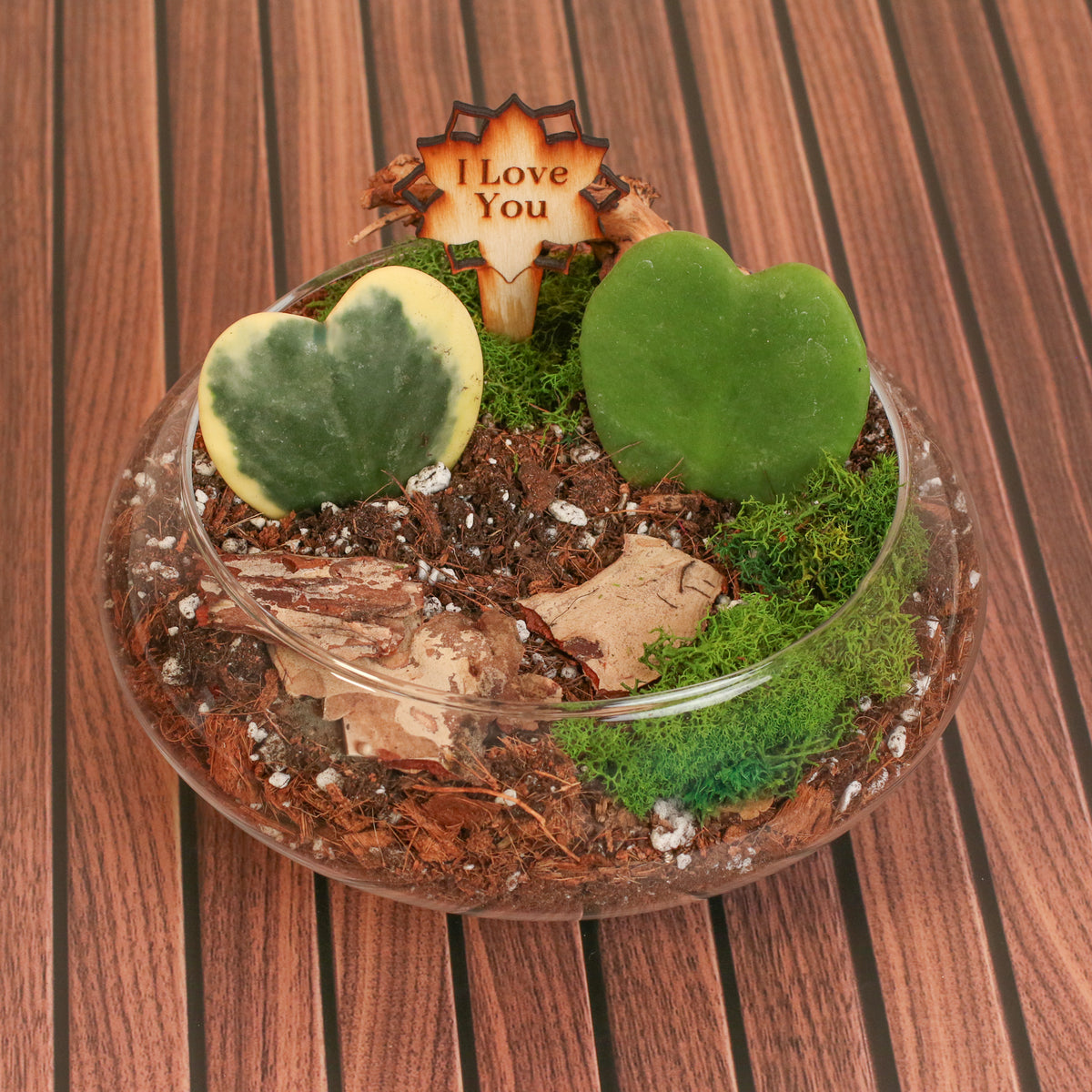 Love Hearts Terrarium