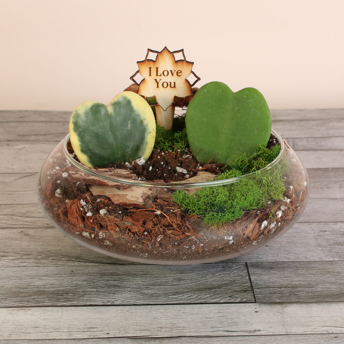 Love Hearts Terrarium