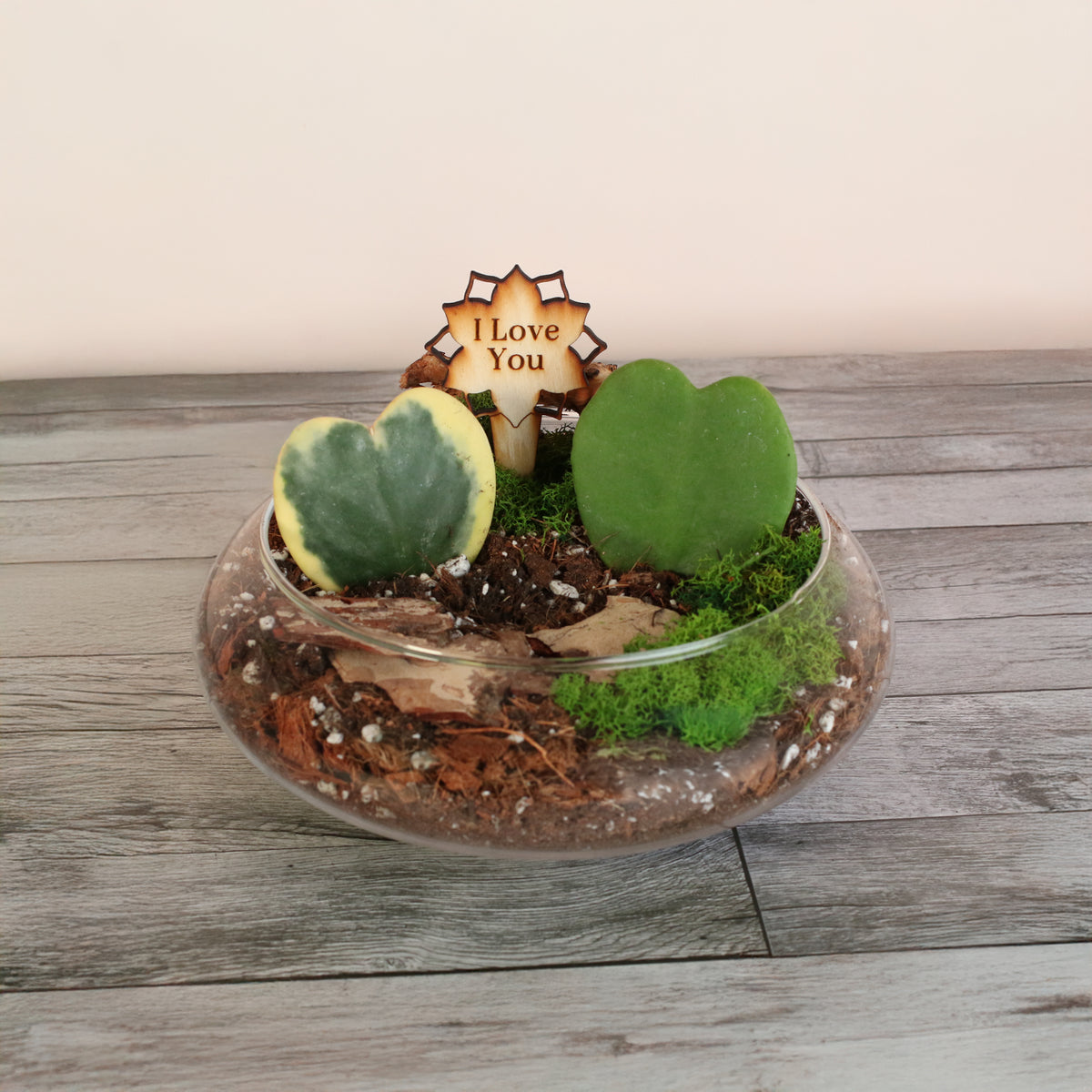 Love Hearts Terrarium