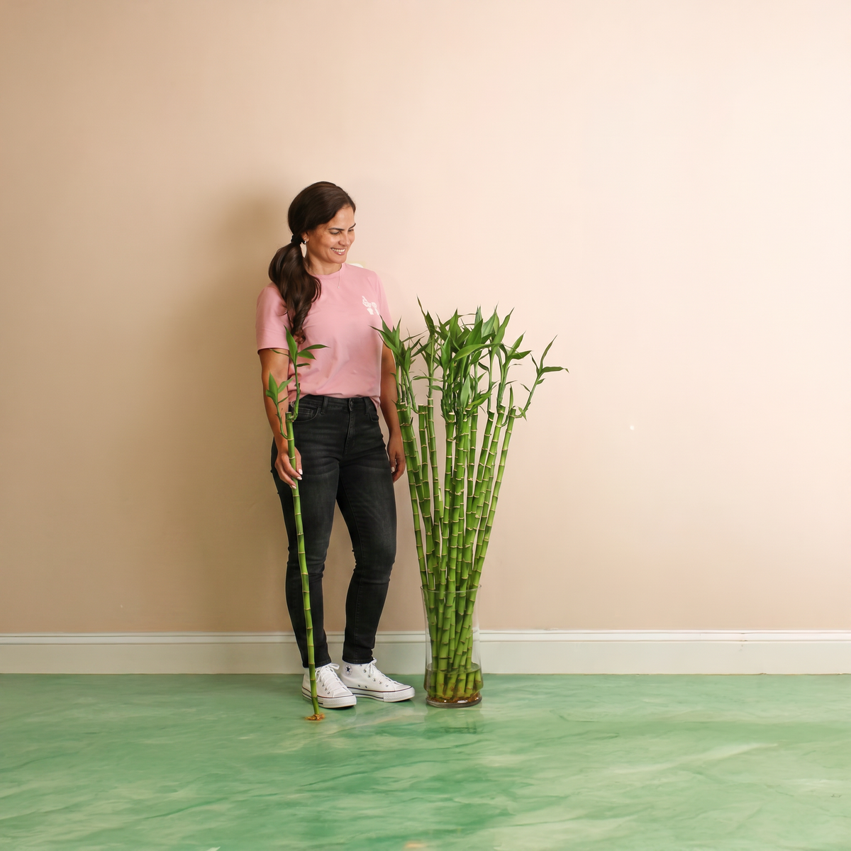 Lucky Bamboo Water Plant 1XL 36"