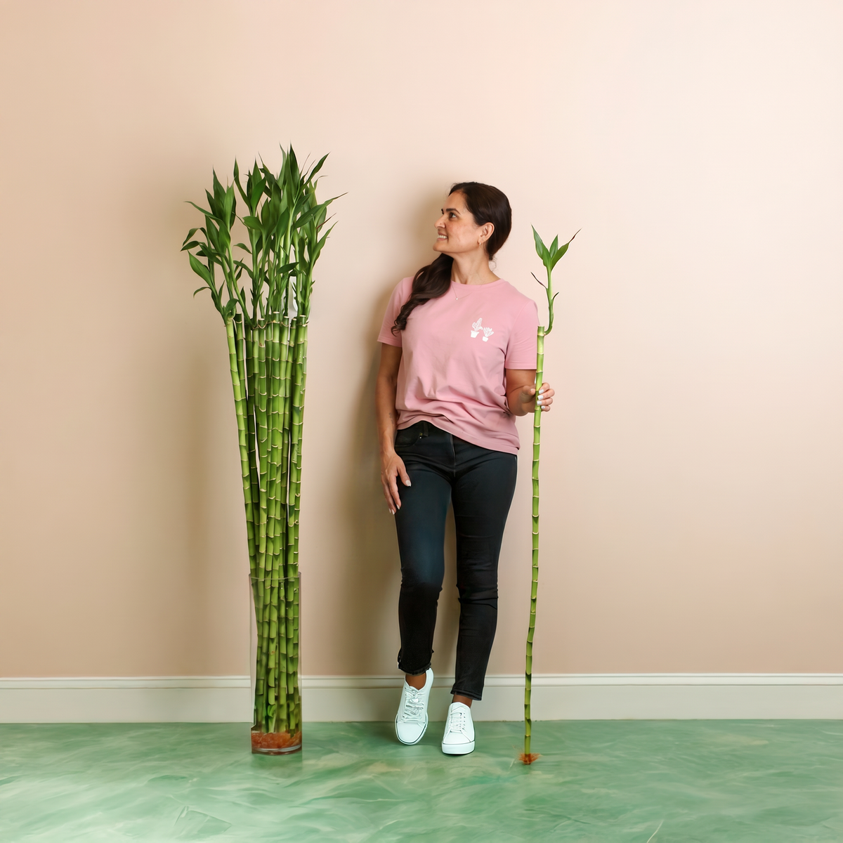 2XL Lucky Bamboo Water Plant next to 5' 2" Model.