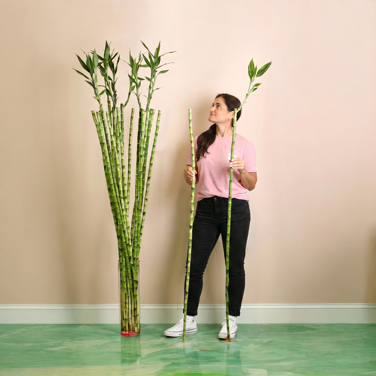 Model stands at 5 foot 1 inch tall.  Standing next to size 3XL | 60" tall Lucky Bamboo.  