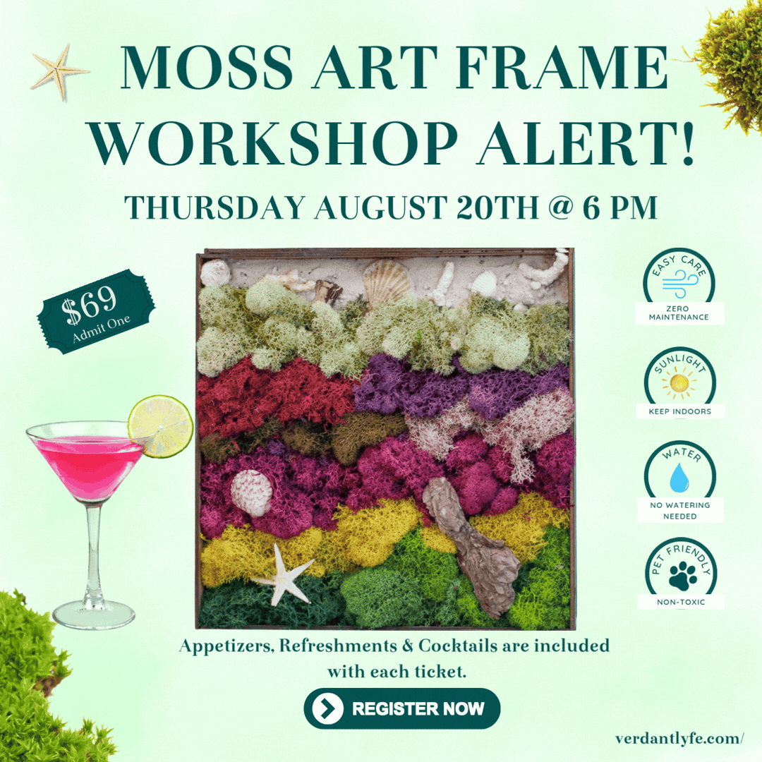 Moss Art Workshop happening August 20th at 6 PM.  