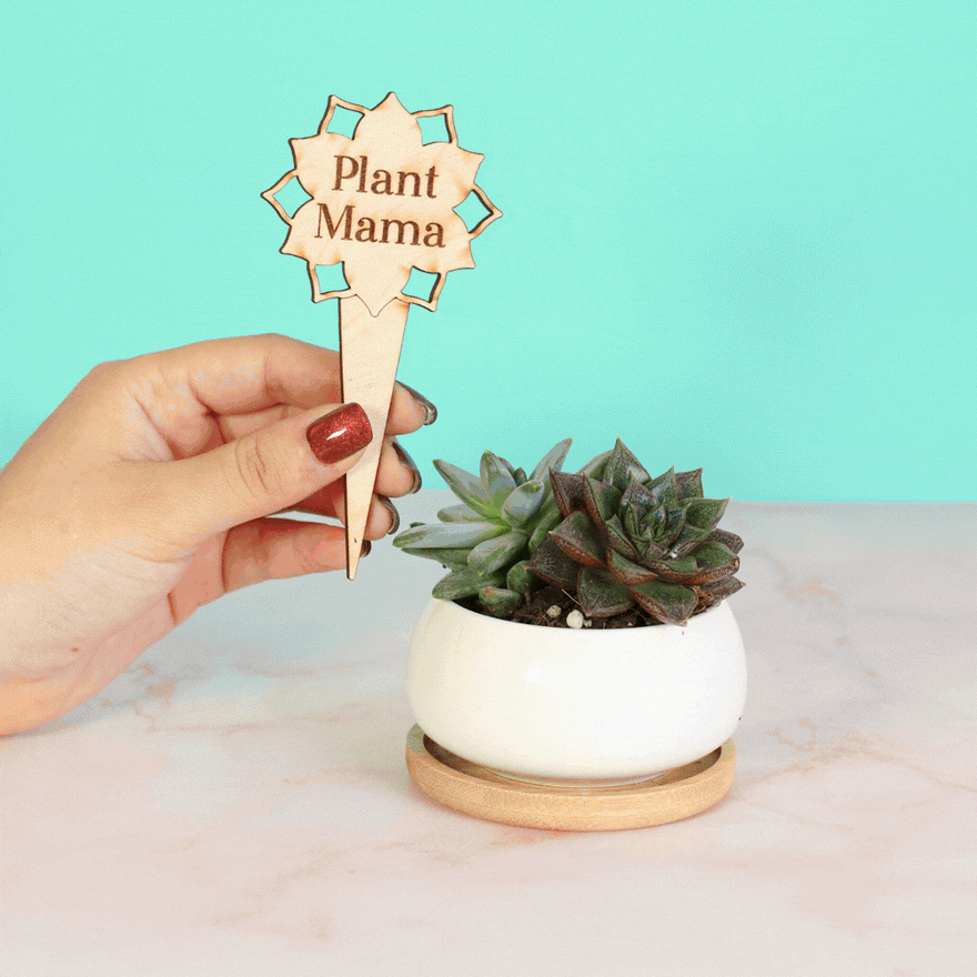 Plant Message Stakes for Finishing Touches