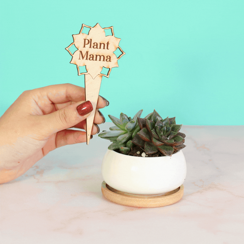 Plant Message Stakes for Finishing Touches