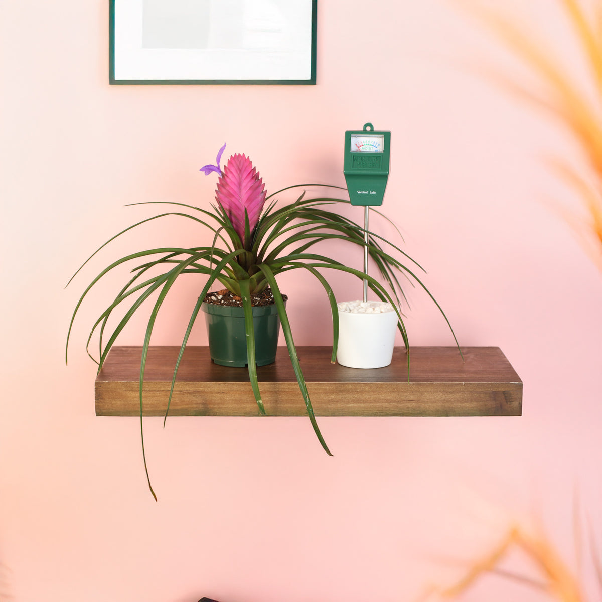 Mom's Verdant Luxe Duo Bundle on floating shelf in hallway