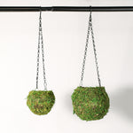 Fresh Green Kokedama Moss Hanging Planter Ball