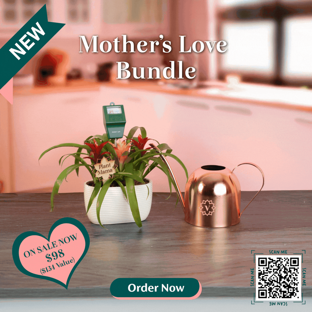 Mother's Love Bundle