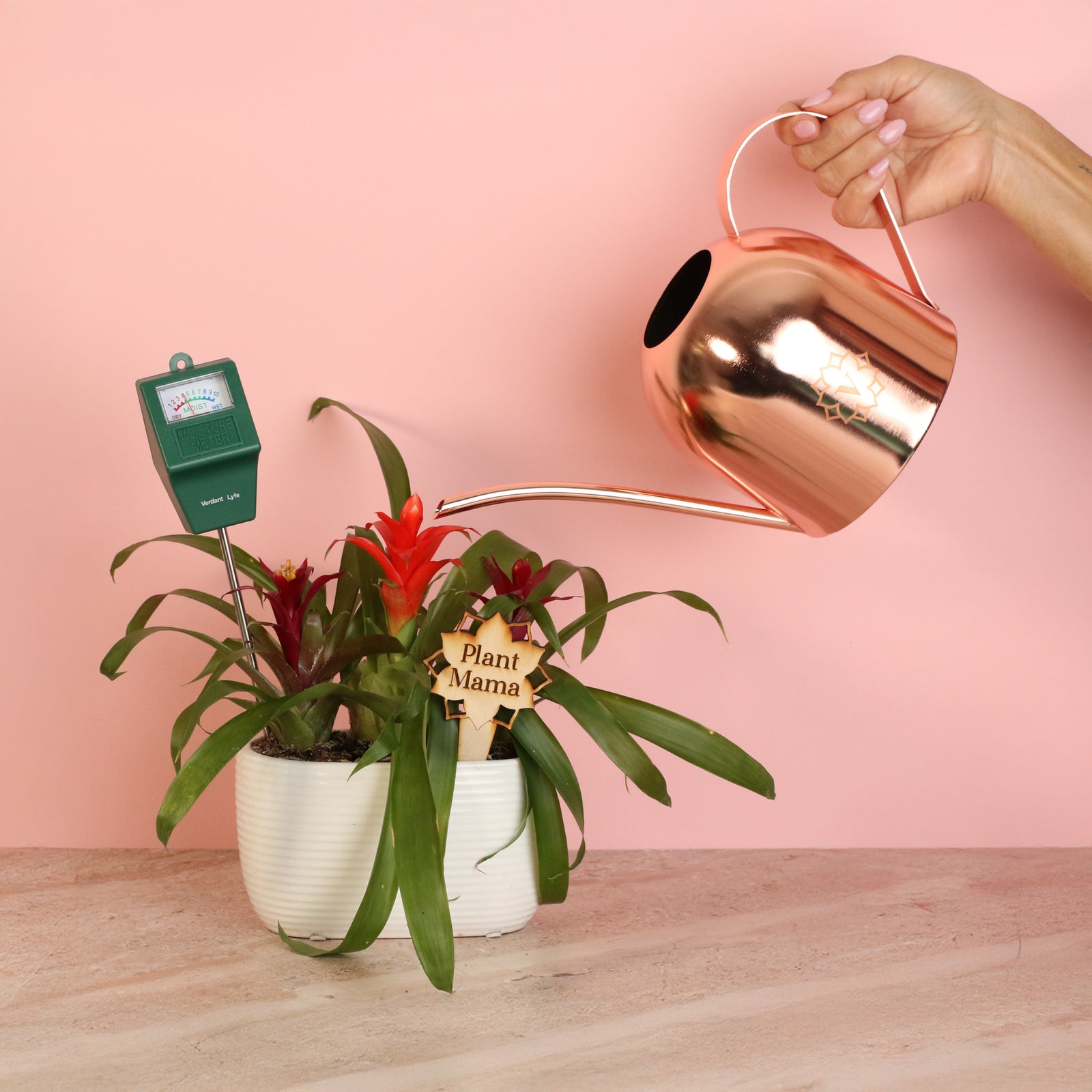 Mother's Love Bundle makes the perfect gift for Mom this Mother's Day