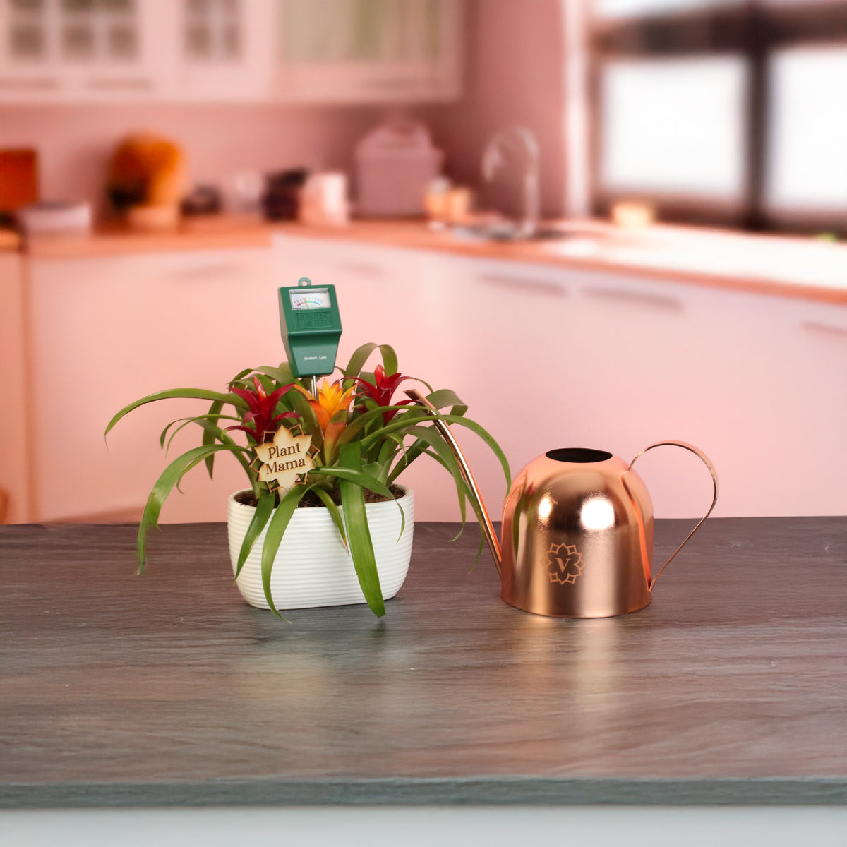 Mother's Love Bundle Gift by Verdant Lyfe  on counter top in kitchen.