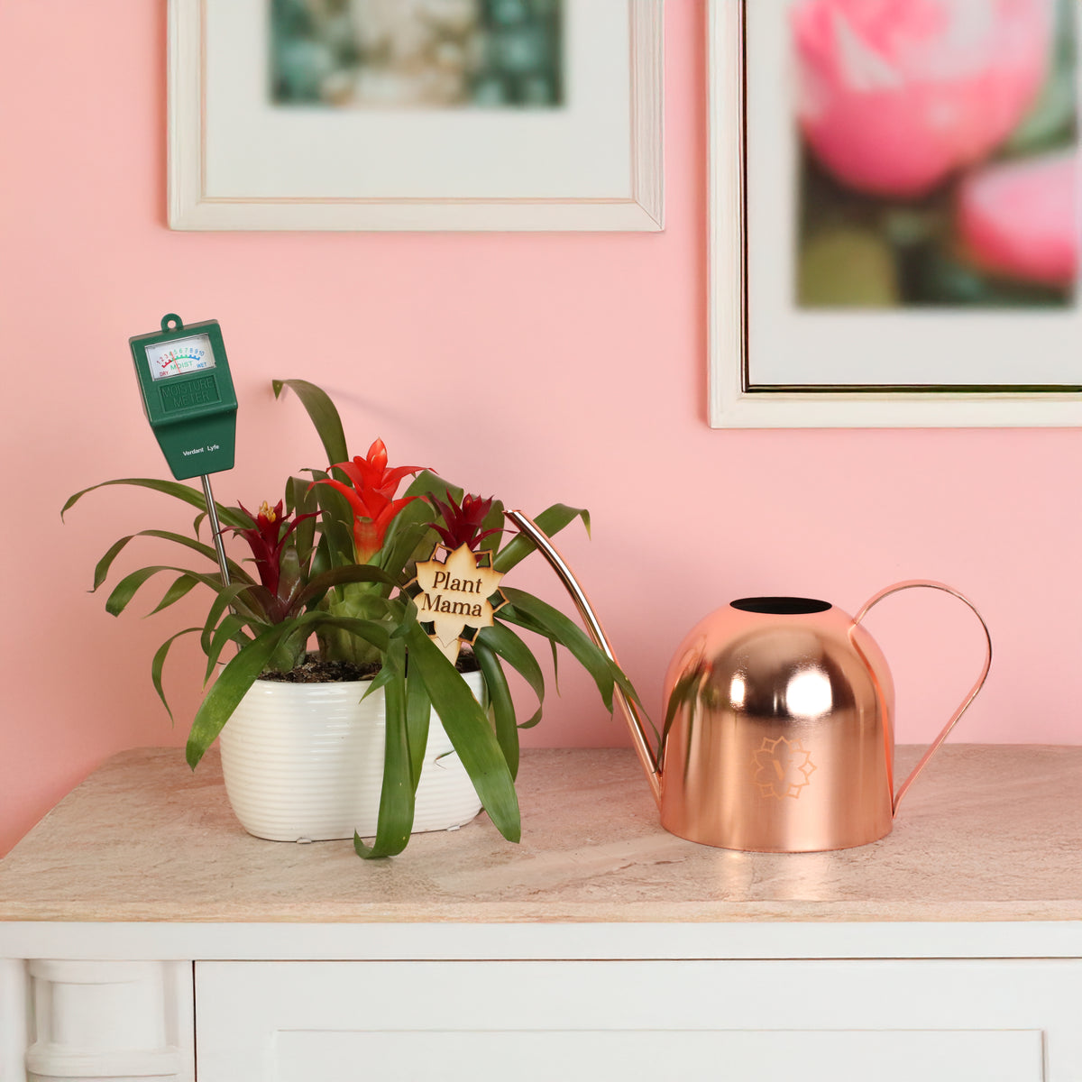 Ultimate Plant Mom Mother's Day Gift