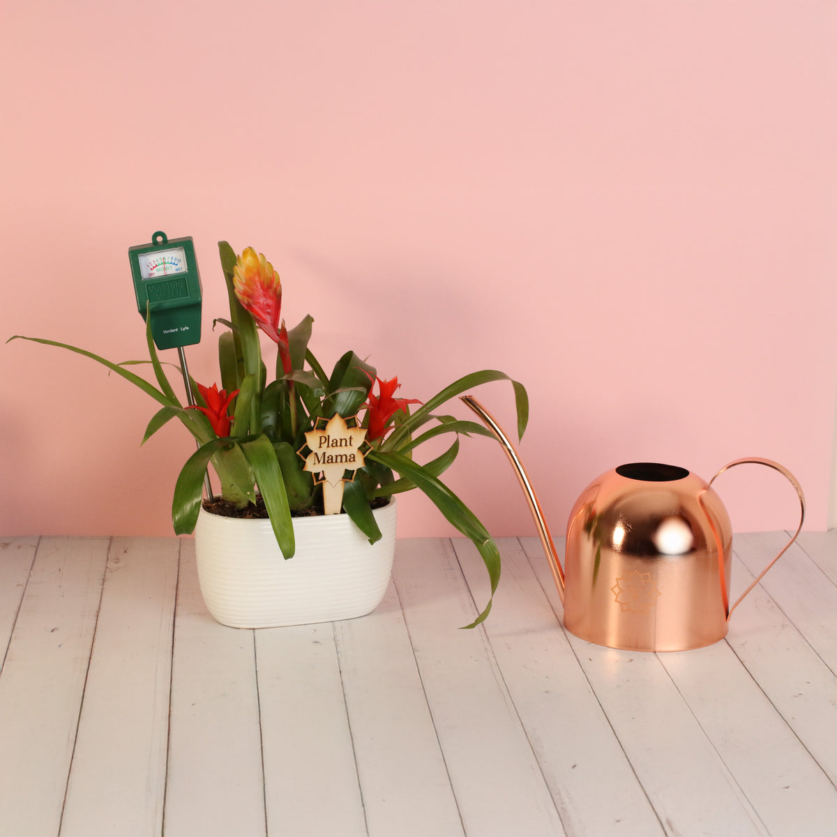 Perfect Gift Bundle for Mom this Mother's Day! 
