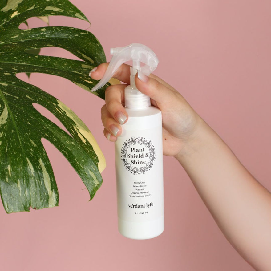 Plant Shield and Shine