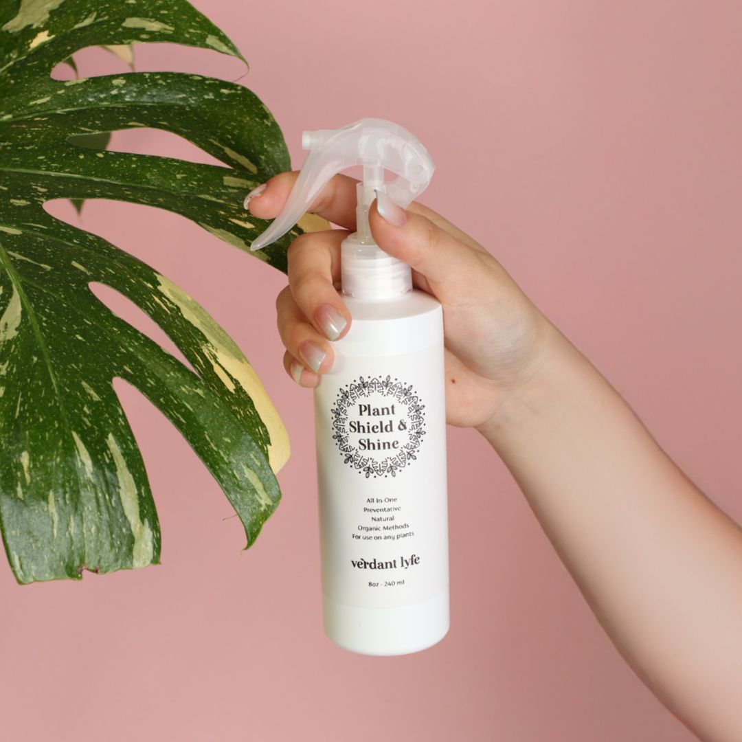 Plant Shield and Shine
