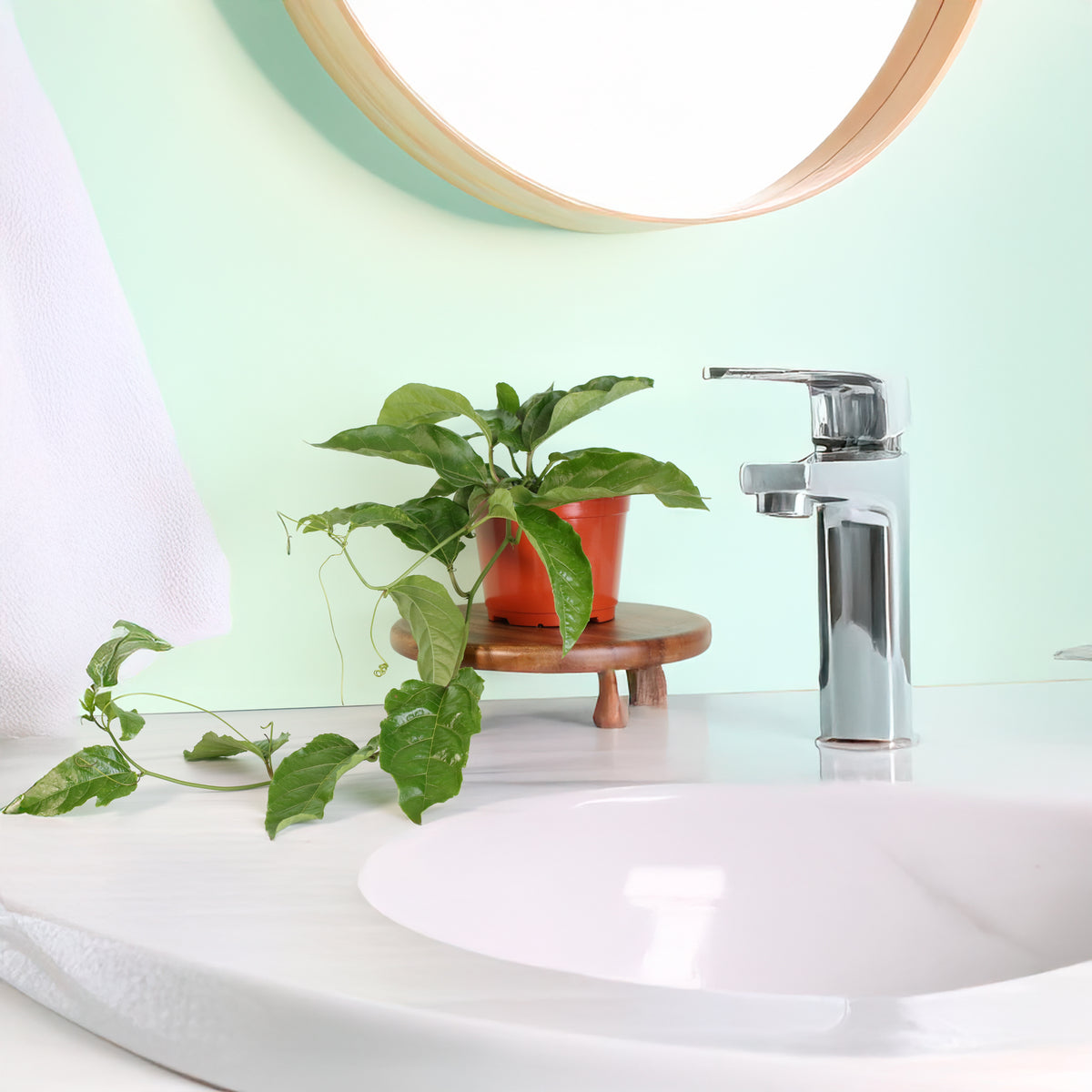 Passion Fruit Possom Purple in bathroom