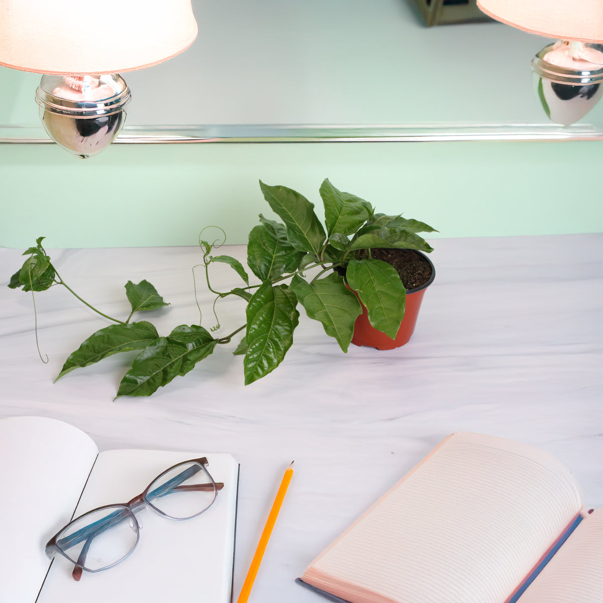 Passion Fruit Possom Purple on desk