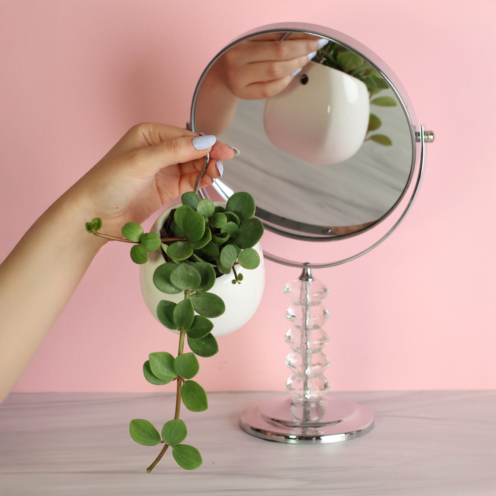 Front and Back view of Peperomia Hope 'Trailing Jade' Plant in Amelia ceramic hanging planter with S hook.  