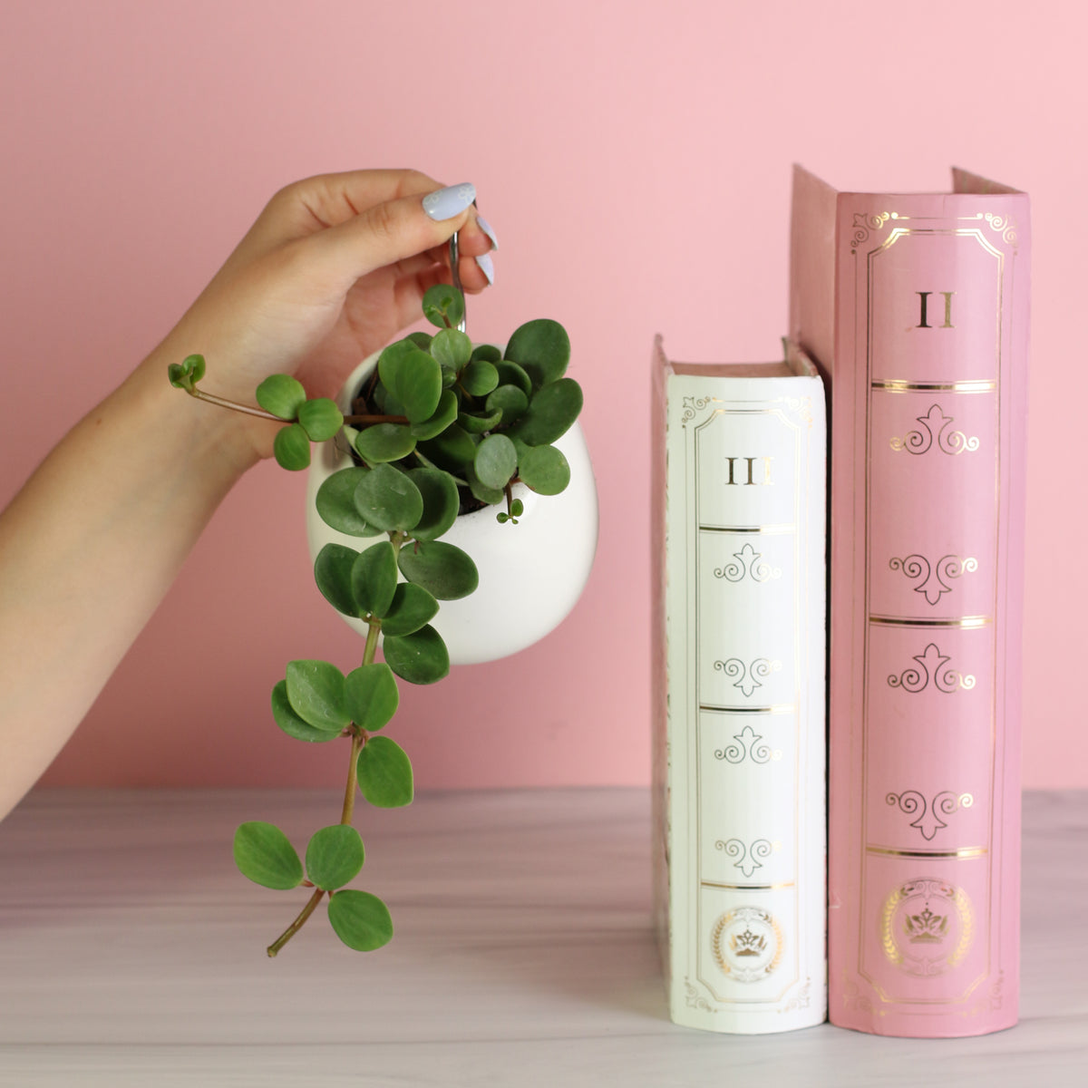 Peperomia Hope Trailing Jade in Amelia planter next to books. 