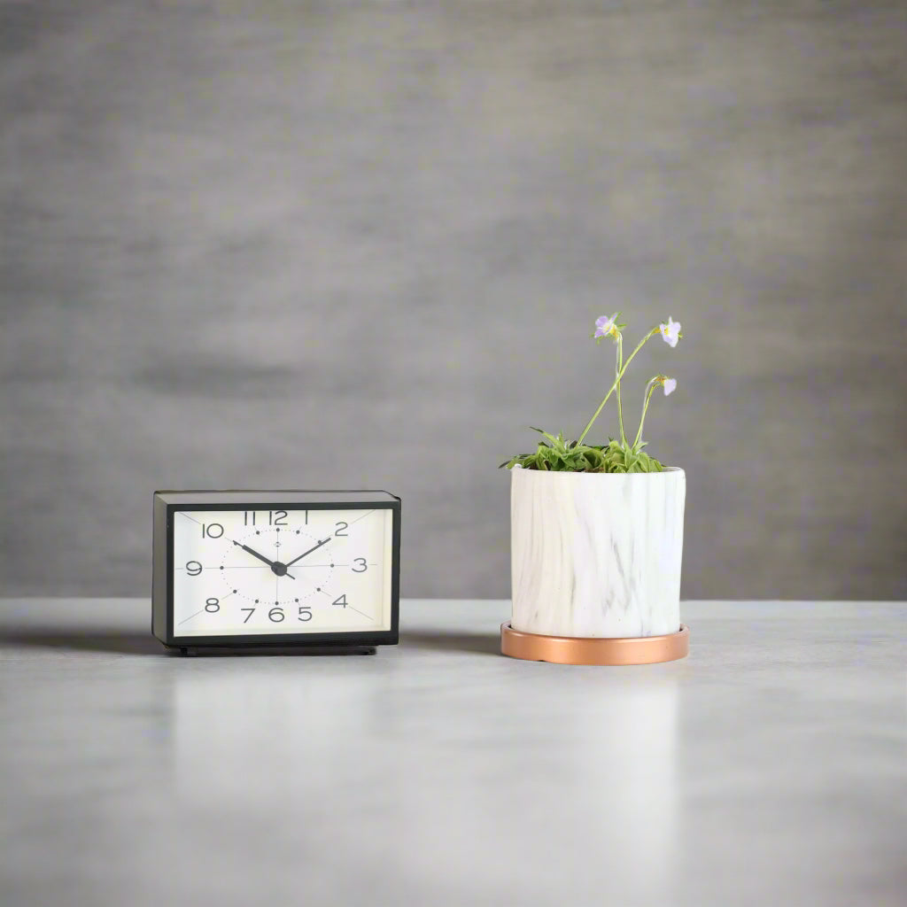 Pinguicula Butterwort in Daphne Ceramic 4.5" Planter beside clock. 