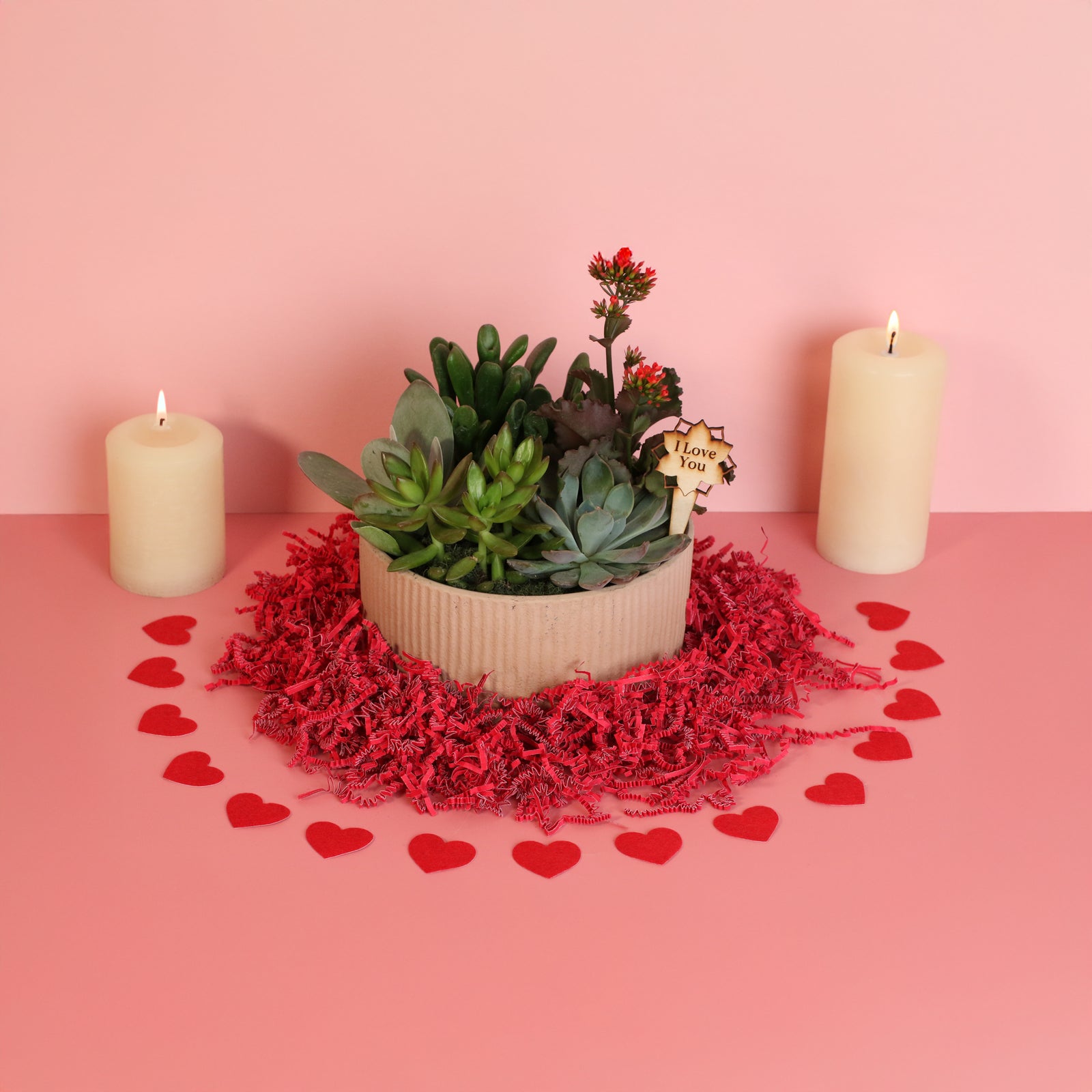 Succulent Arrangement! The ultimate Valentine's Day Gift! 