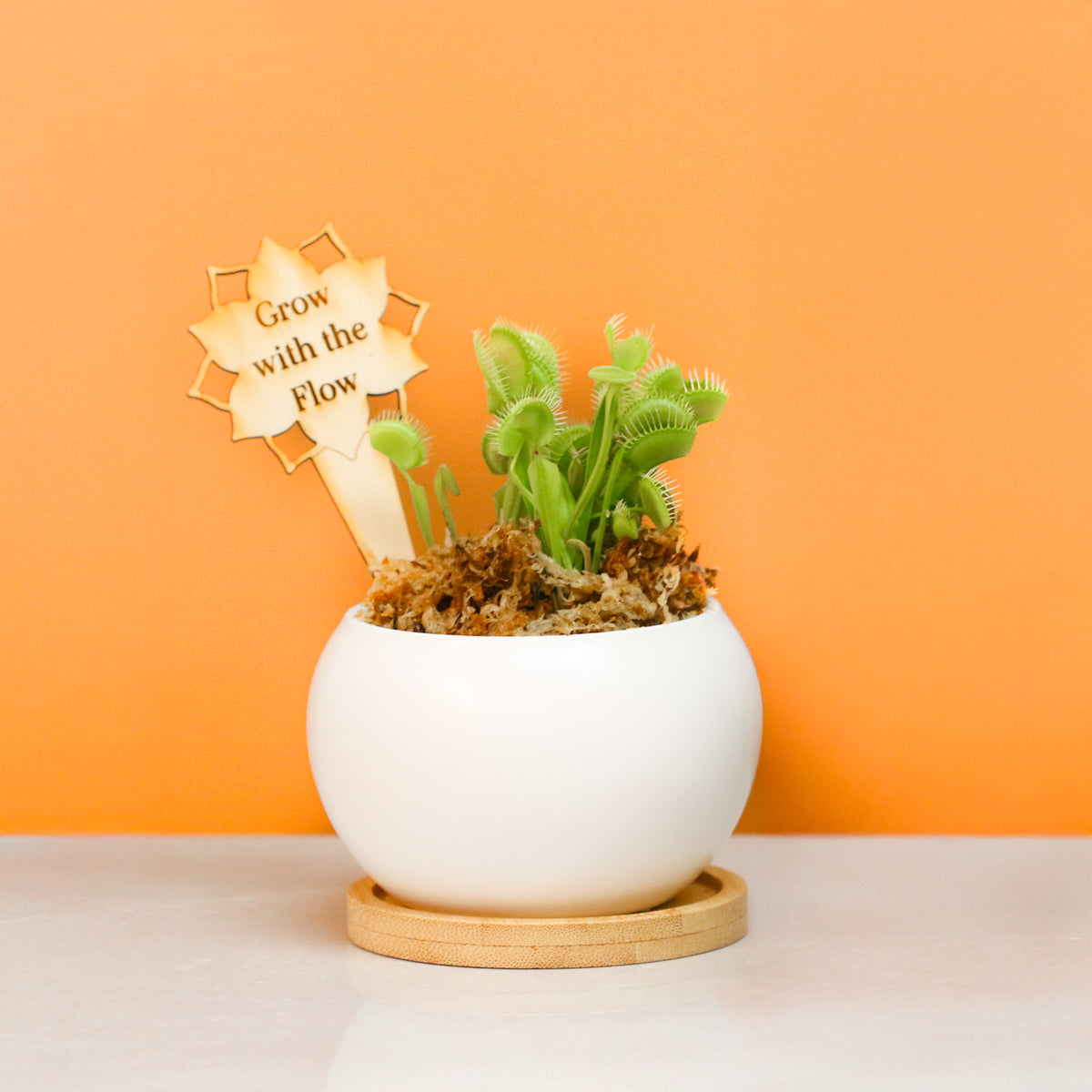Plant Message Stakes - Add On Item