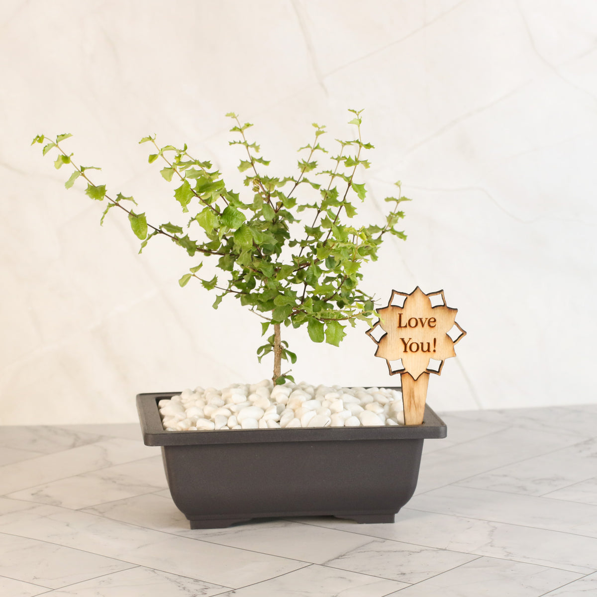 Plant Message Stakes - Add On Item