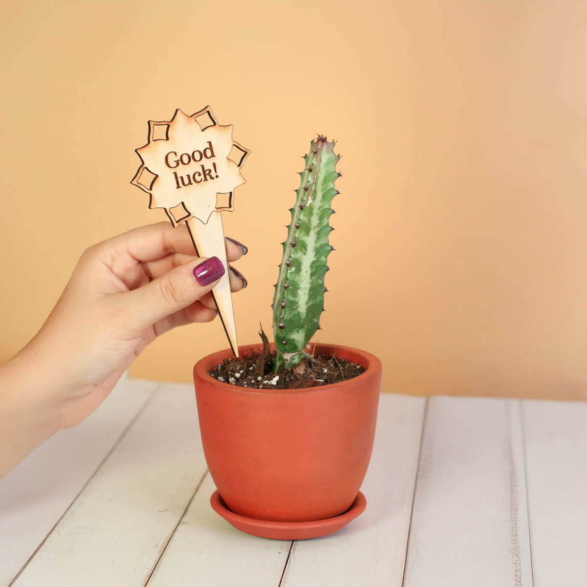 Plant Message Stakes - Add On Item