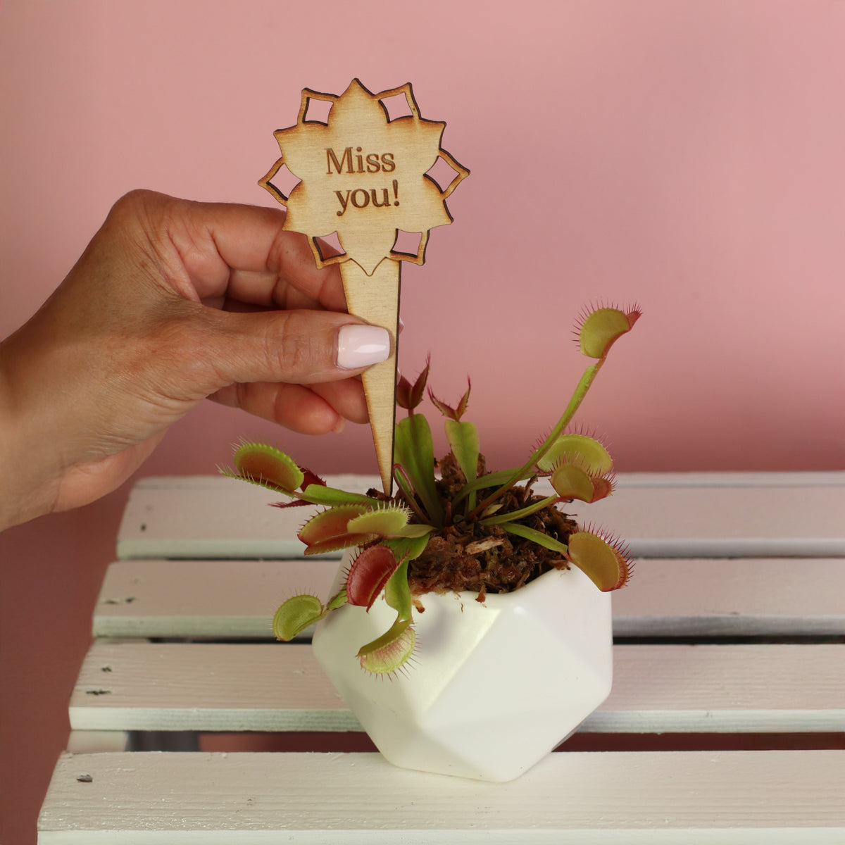Plant Message Stakes - Add On Item