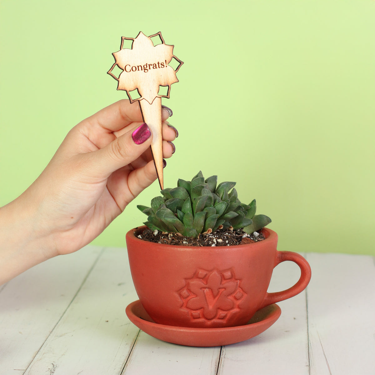 Plant Message Stakes - Add On Item