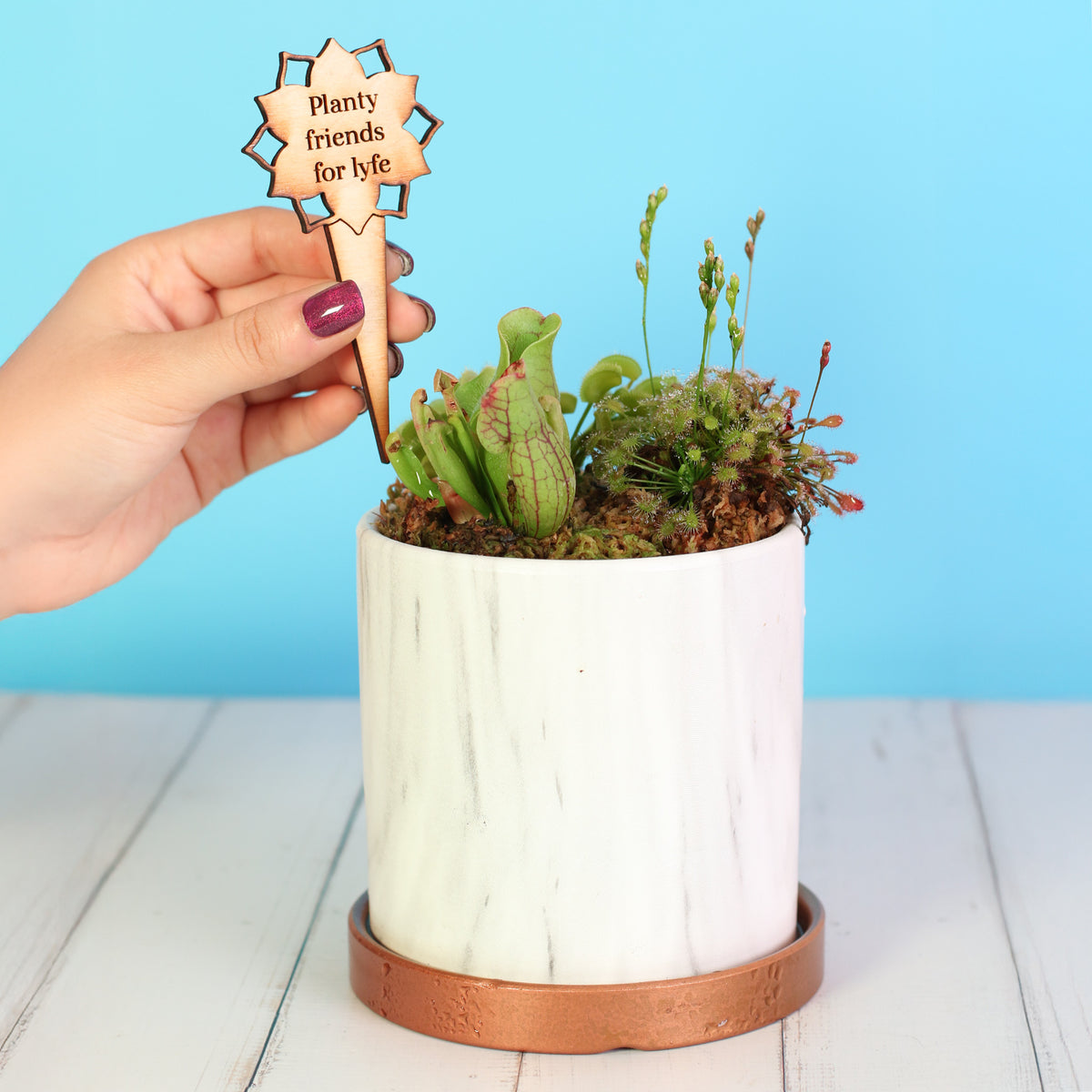 Plant Message Stakes - Add On Item