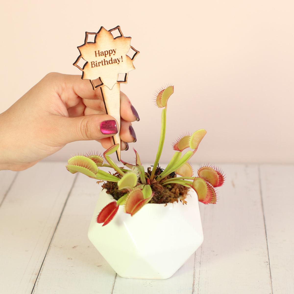 Plant Message Stakes - Add On Item