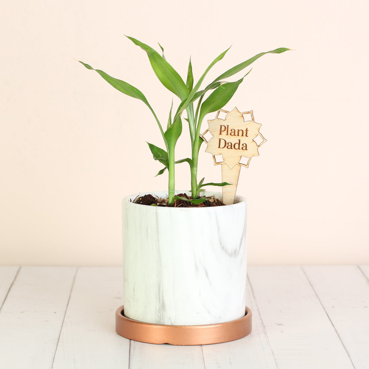 Plant Message Stakes - Add On Item