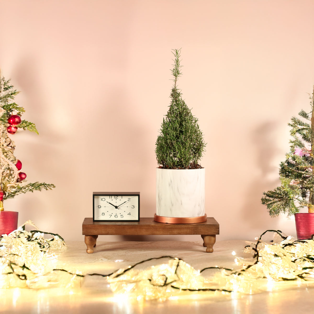 Rosemary Holiday Decorations