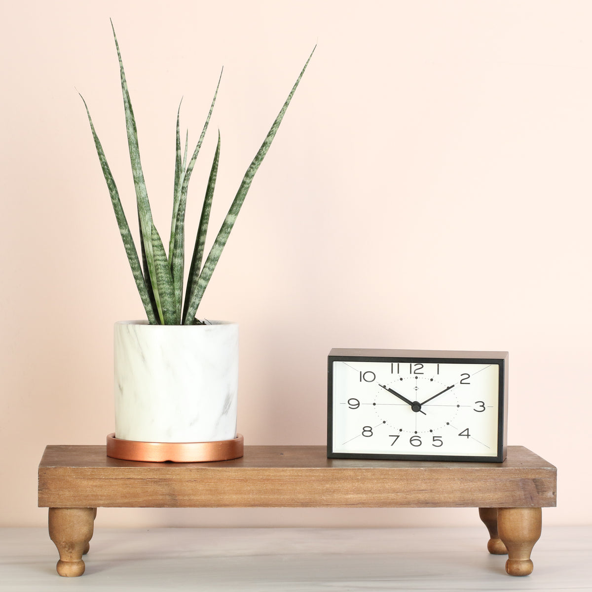 Sansevieria Fernwood in Daphne Planter next to clock