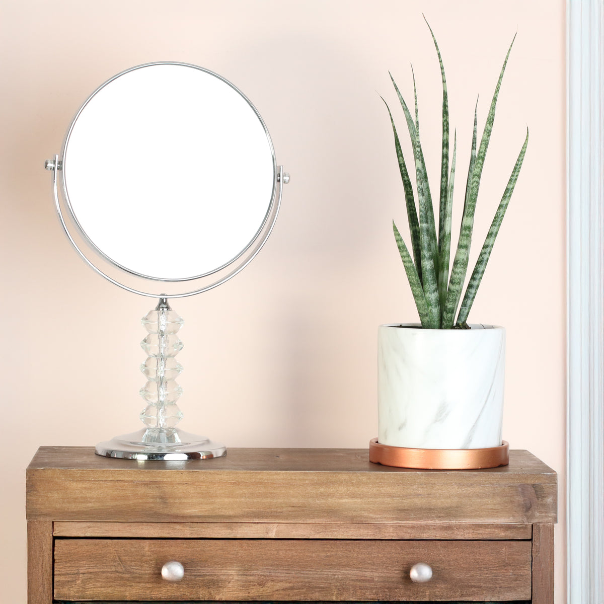 Sansevieria Fernwood on dresser. 