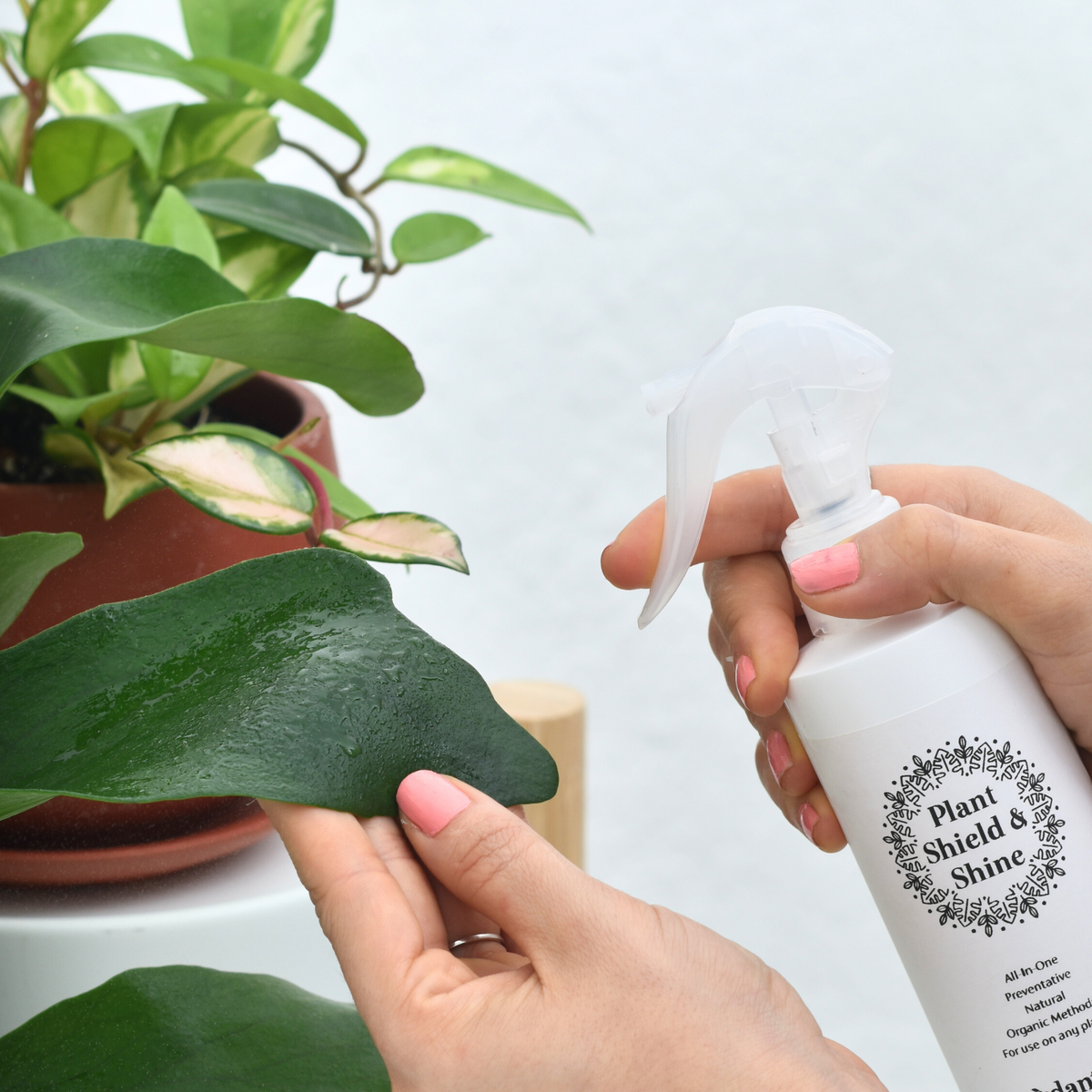Plant Shield &amp; Shine - Houseplant Pest Control and Leaf Shine Spray Verdant Lyfe