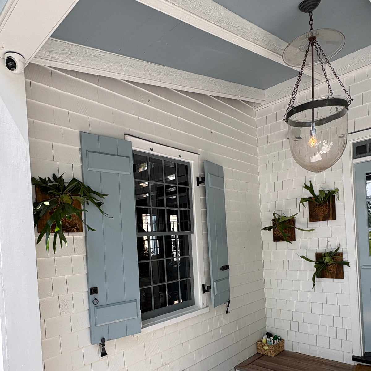 Indoor setting with a gray door, plants, and a chandelier.