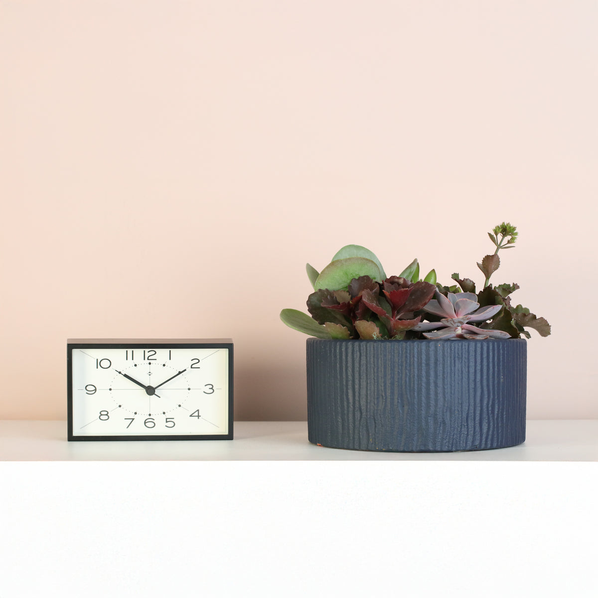 Succulent Arrangement