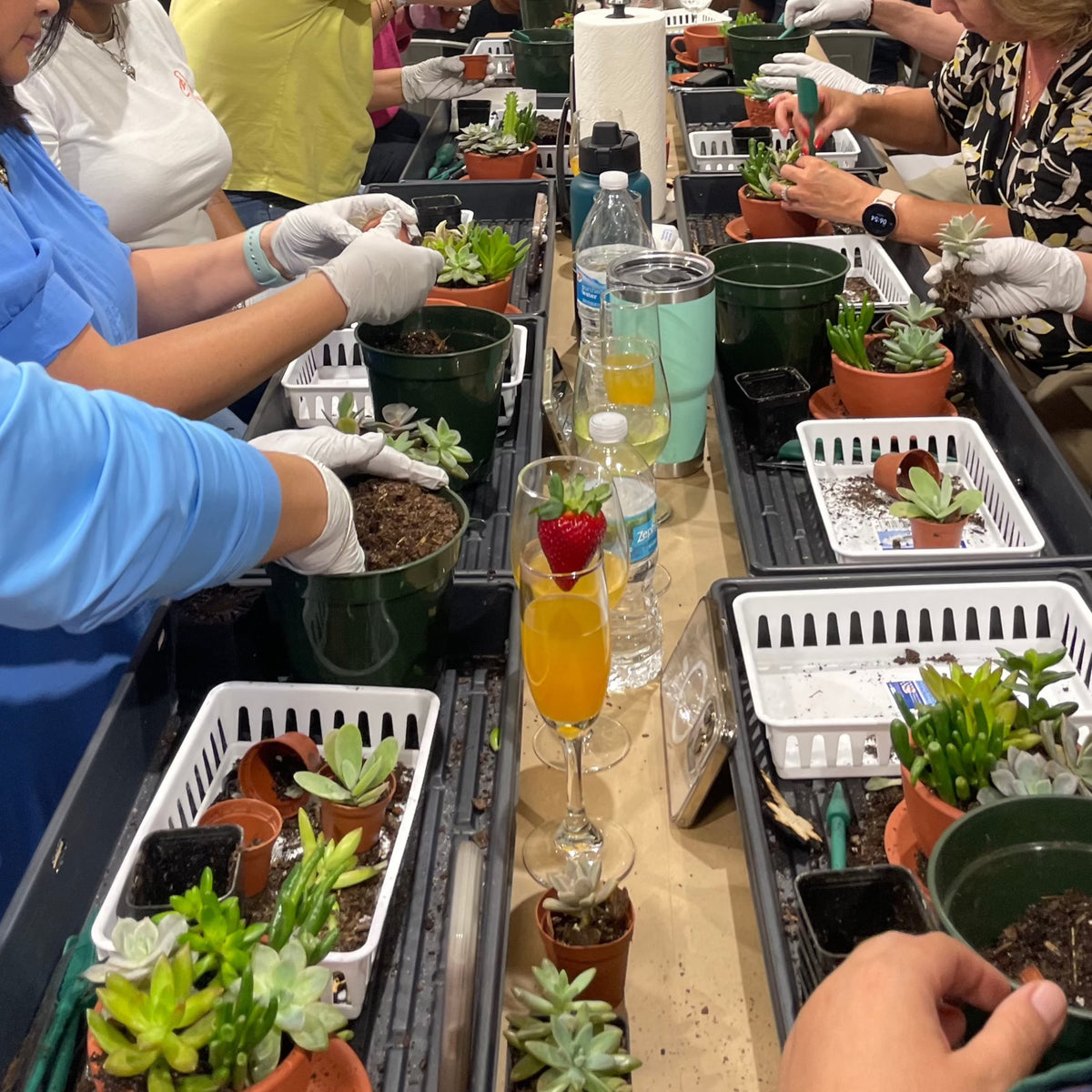 succulent event for corporations